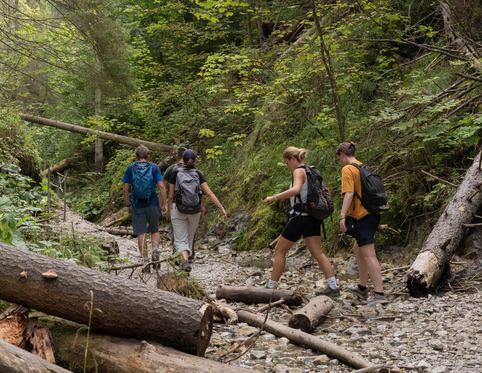 Hiking Safety Training